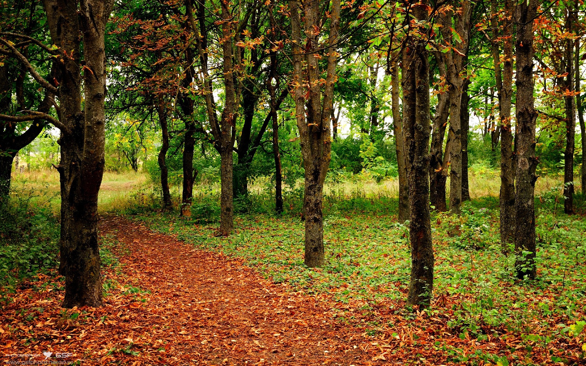 华体会登录地址-篮球运动员专项技术动作训练规范研究，篮球运动员专项技能特征