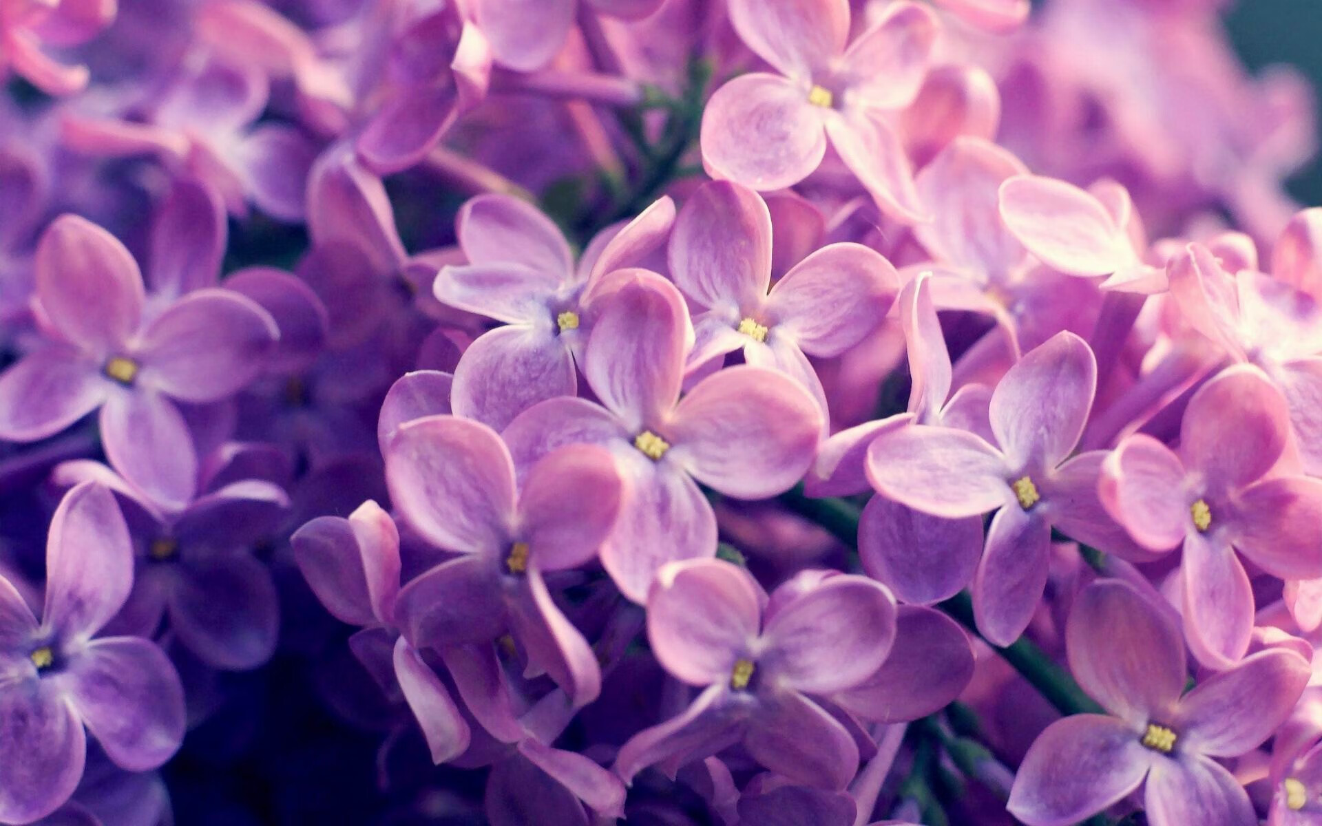 华体会平台-英超球队基于实时运动负荷模型调整阵型压迫节奏,英超球员体能 第6张 华体会平台-英超球队基于实时运动负荷模型调整阵型压迫节奏,英超球员体能 第6张