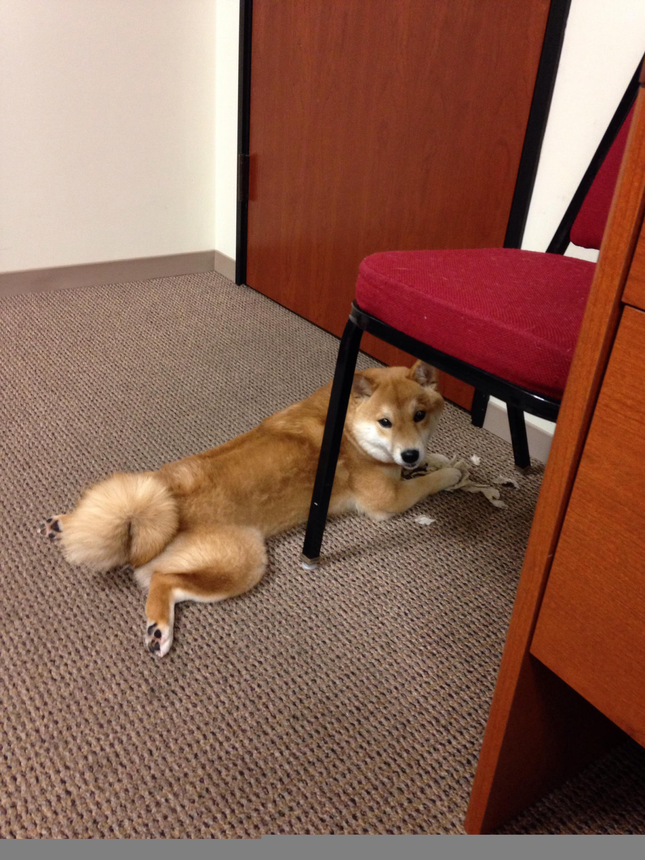 华体会app登入-西甲边后卫冲击三前锋战术表现评估，西甲中前卫  第5张