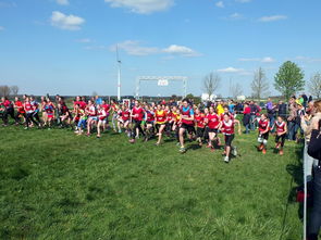 华体会登录入口-青少年体育运动社会支持系统研究,青少年体育运动社会支持系统研究现状 第1张 华体会登录入口-青少年体育运动社会支持系统研究,青少年体育运动社会支持系统研究现状 第1张