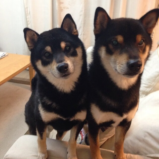 华体会官网入口-2024年国际乒联混合团体世界杯赛事新面貌,2020国际乒联团体世界杯 第3张 华体会官网入口-2024年国际乒联混合团体世界杯赛事新面貌,2020国际乒联团体世界杯 第3张