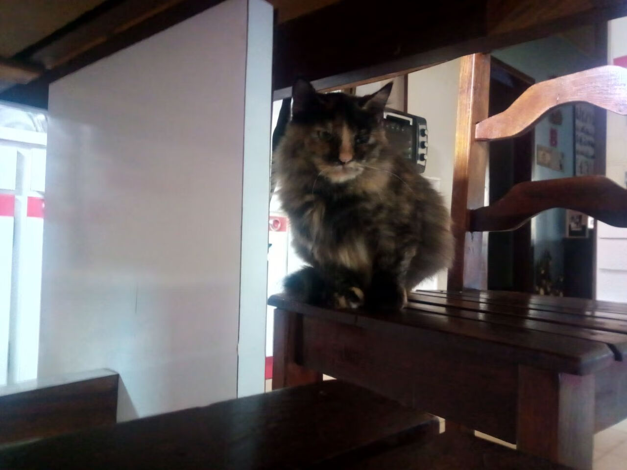 华体会app-NBA全明星周末上演灌篮盛宴，nba全明星周末赛程安排