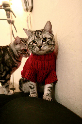 华体会网址-东亚杯中国青年队复仇 热血精神燃爆现场，中国东亚杯第几名  第1张