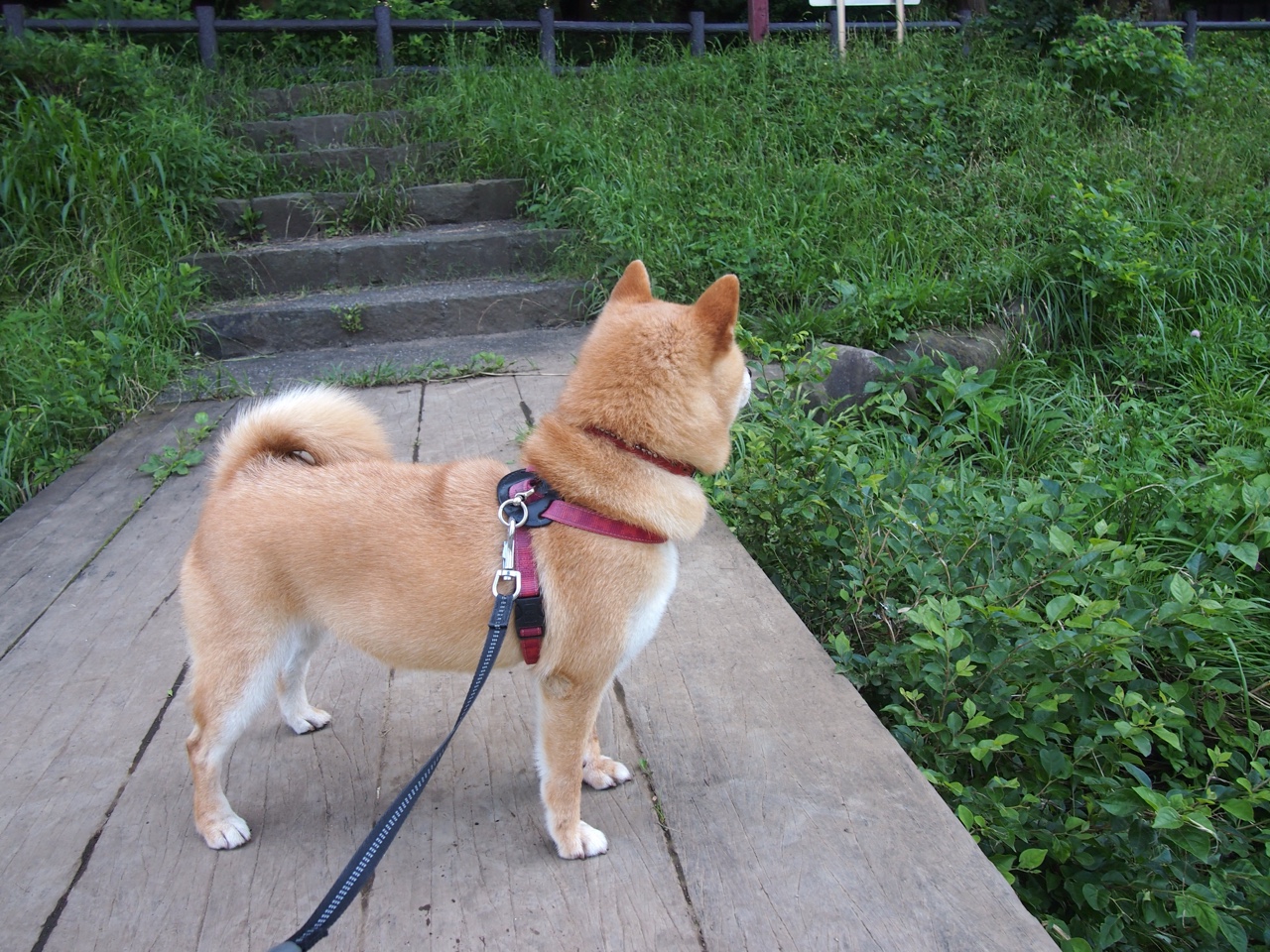 华体会网址-东亚杯中国青年队复仇 热血精神燃爆现场，中国东亚杯第几名  第3张