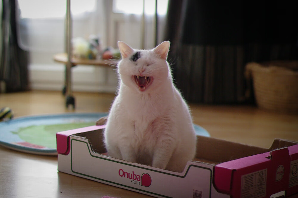 华体会手机在线-划频节奏控制精准，比赛稳定性高，划幅和划频