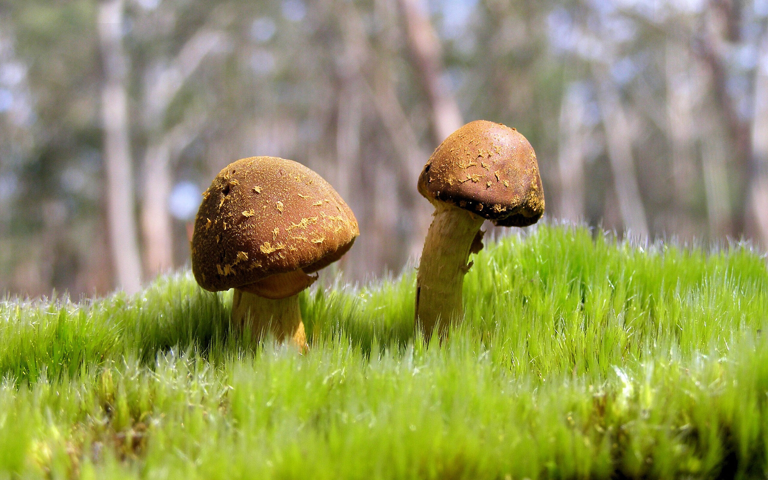 华体会官网-国家男篮在封闭训练中强化默契配合，男篮国家集训队员名单