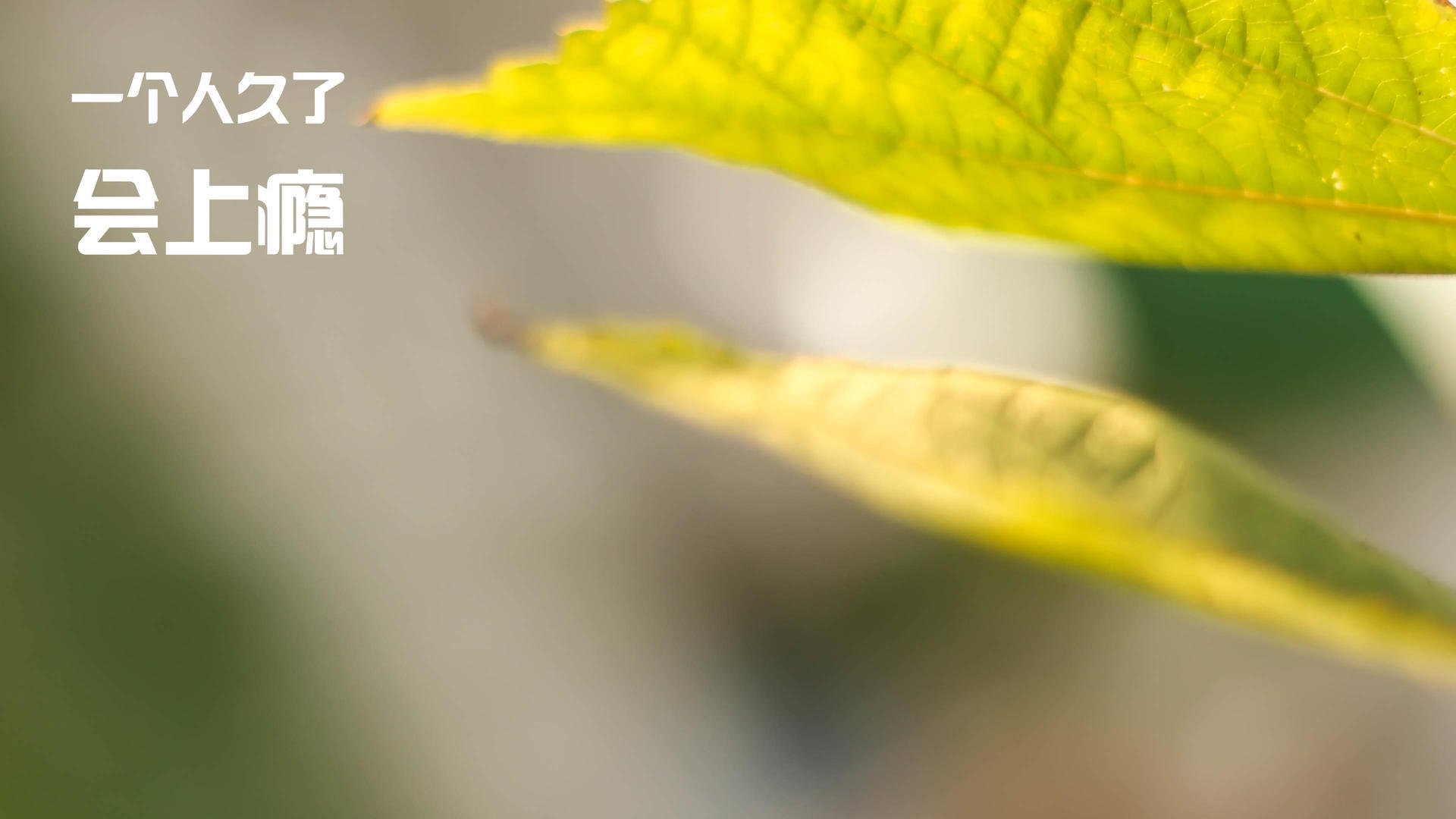 华体会官网-新赛季外援注册政策优化联赛观赏性，外援赛会制