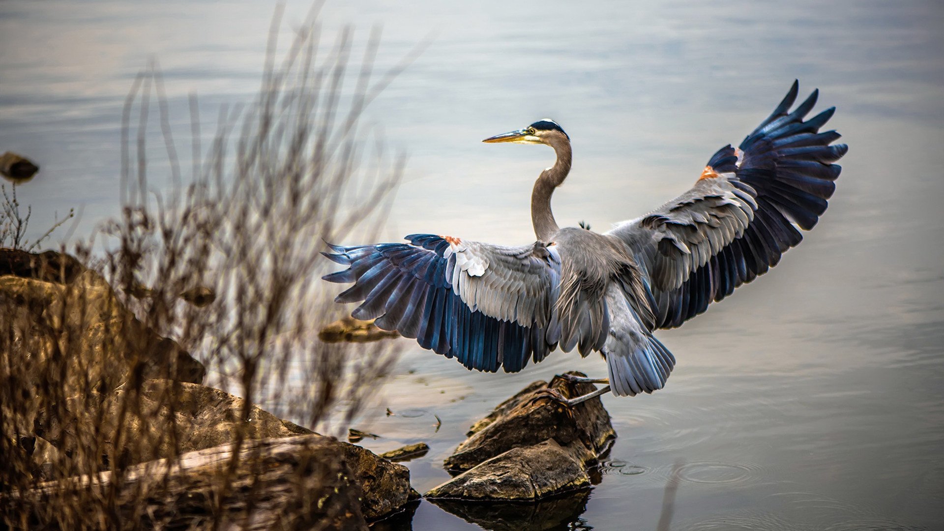 华体会登录-联赛中期总结多支黑马球队异军突起，足球队黑马
