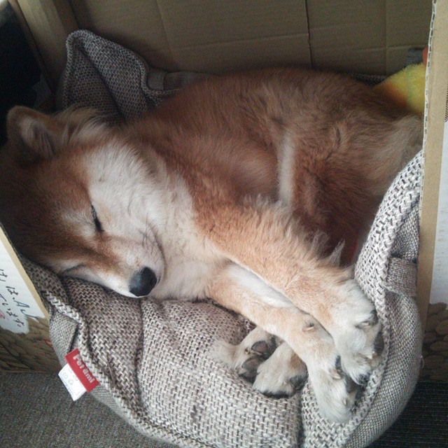 华体会app安装-主教练首次带队打德比比赛前特别强调心理准备的重要性，球王德比