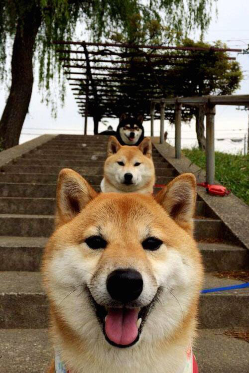 华体会app下载-基层裁判培训项目正式启动提升执法规范,裁判培训方案