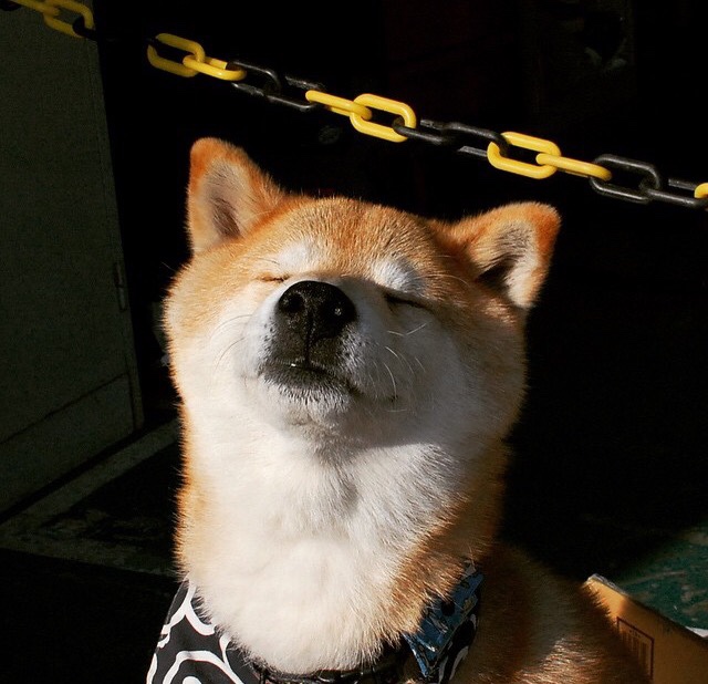 华体会app注册-德甲战场火热：攻守激烈，精彩不断！，德甲打法