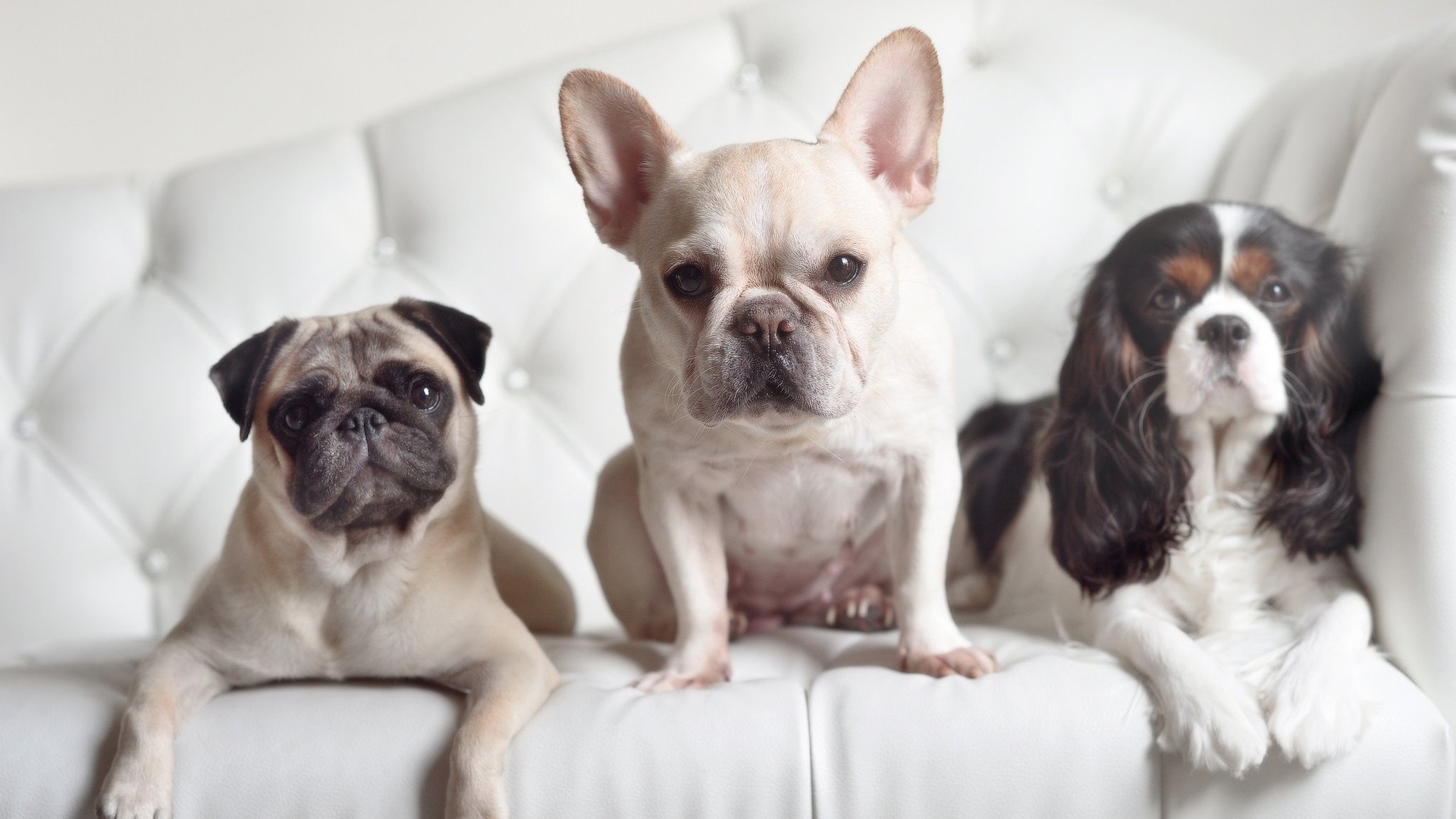 华体会app下载-快船推出球迷定制球衣活动引爆官网流量,快船队的球衣