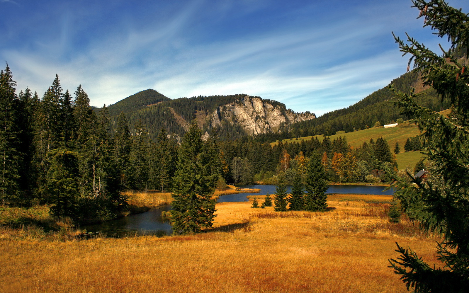 华体会在线登录-意甲团队协作：默契配合争夺胜利！，意甲合作伙伴