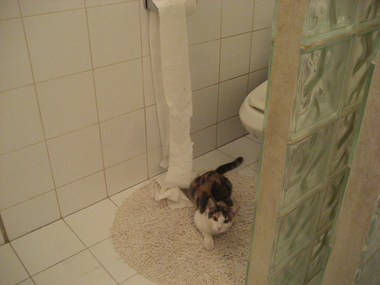 华体会app注册-美洲杯明星表现：突破、助攻，精彩不停！，美洲杯巨星