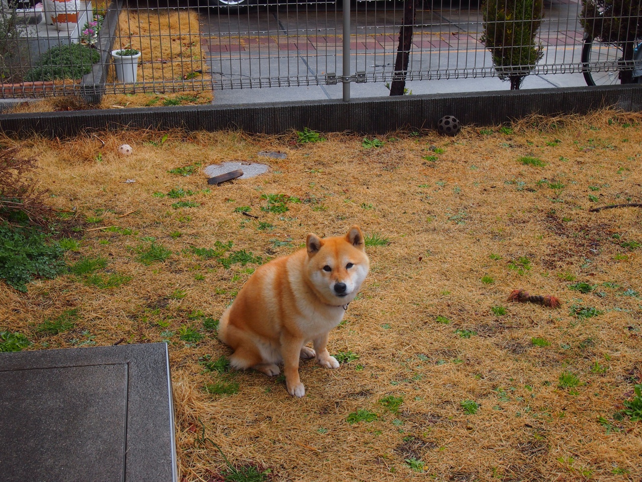 华体会登陆-PSG中场组织混乱影响进攻效率：深度解码与应对之道