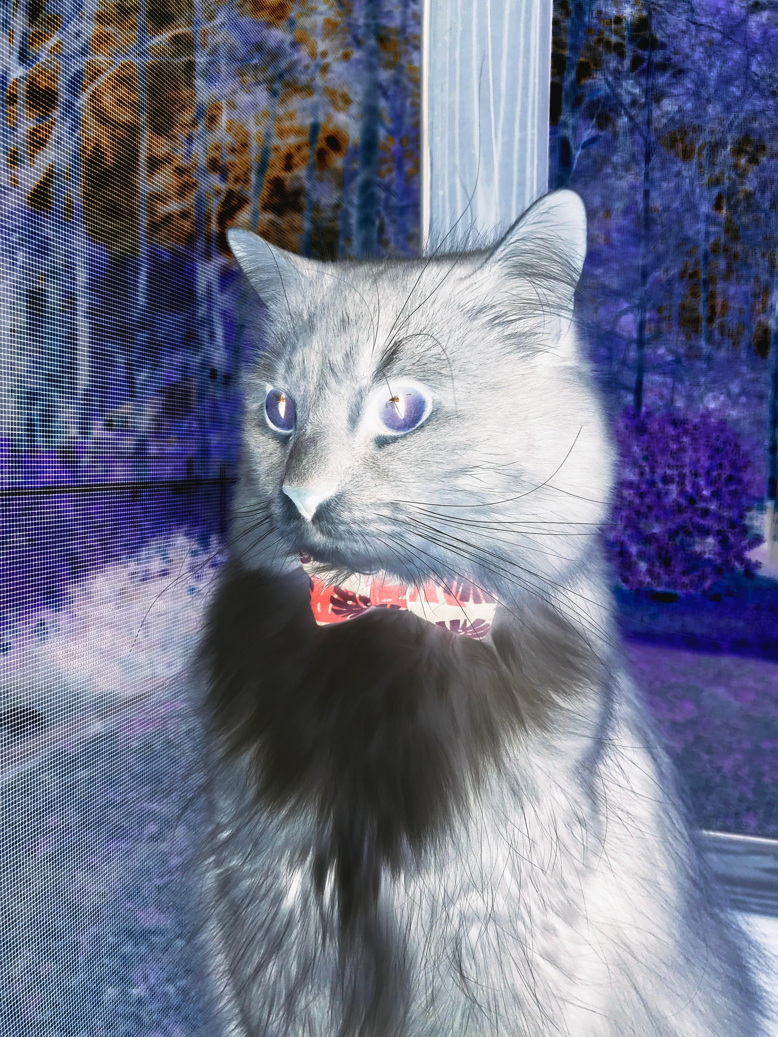 华体会-中国足球国际比赛技术分析，国足技战术分析