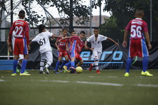 华体会-中国足球联赛俱乐部合作联盟的成立与潜在利益，中国足球职业联盟成立